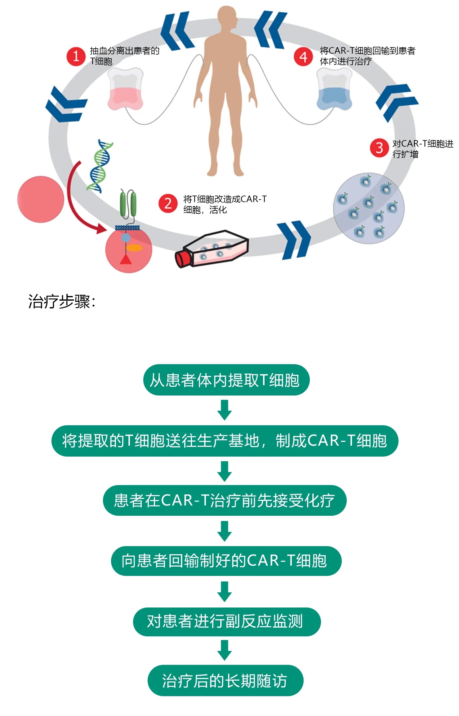 什么是CAR-T細胞療法