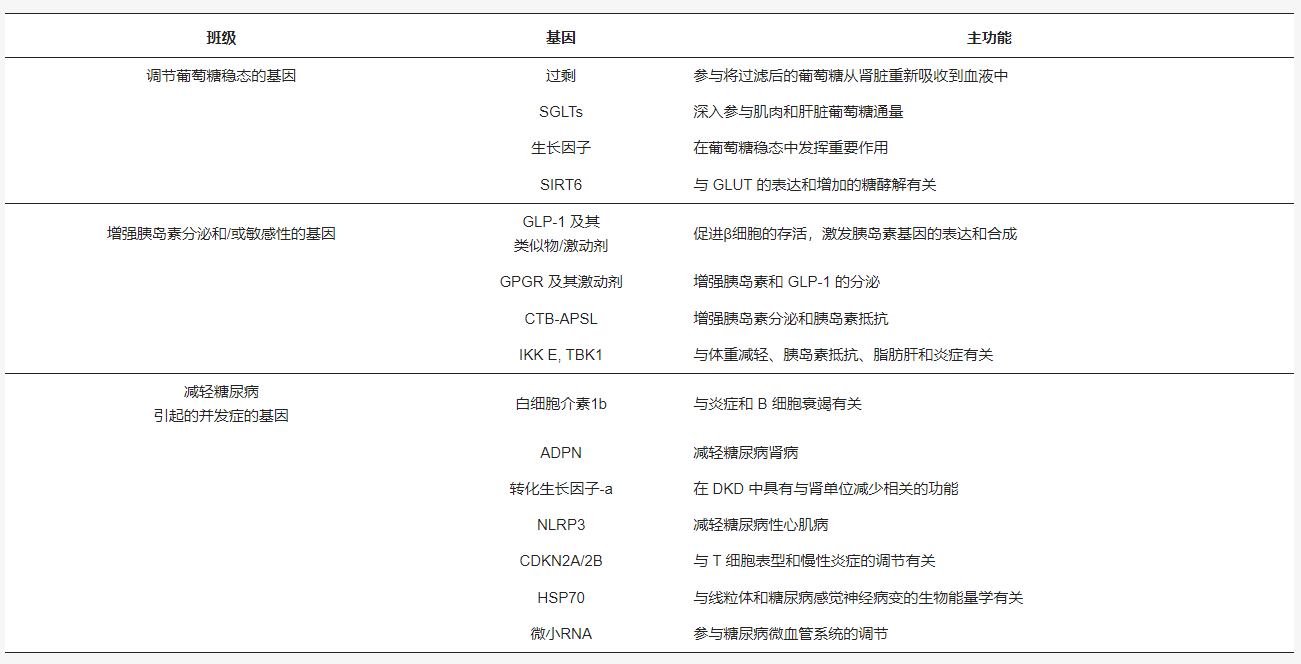 表1：可用于T2DM基因治療的有希望的目標。