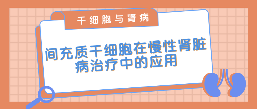 間充質(zhì)干細胞在治療慢性腎臟病中的應用 間充質(zhì)干細胞在治療慢性腎臟病中的應用