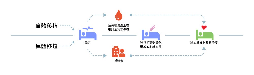 造血干細胞移植流程 造血干細胞移植流程