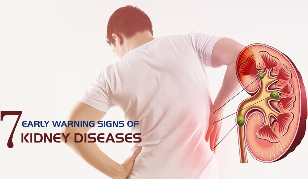 慢性腎臟病 (CKD) 的早期征兆、原因和治療