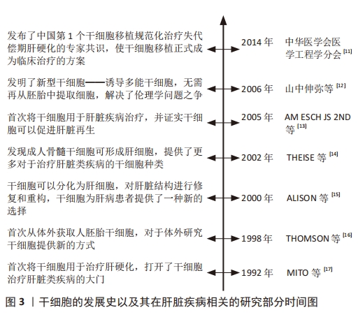 圖 3 |干細胞的發(fā)展史以及其在肝臟疾病相關(guān)的研究部分時(shí)間圖 圖 3 |干細胞的發(fā)展史以及其在肝臟疾病相關(guān)的研究部分時(shí)間圖