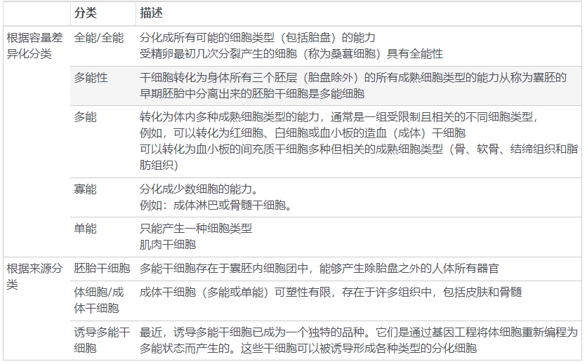 表2:干細胞的分類(lèi) 表2:干細胞的分類(lèi)