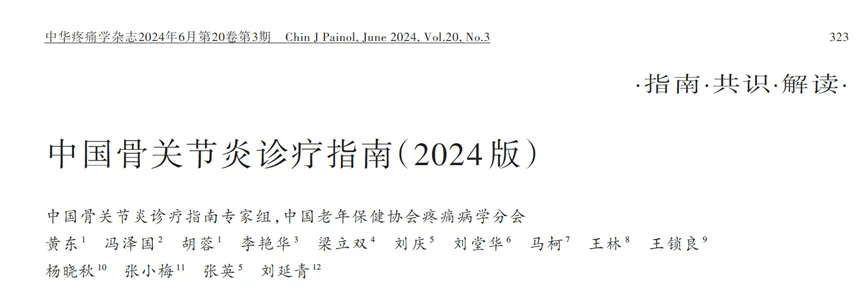 中國骨關(guān)節炎診療指南（2024版）