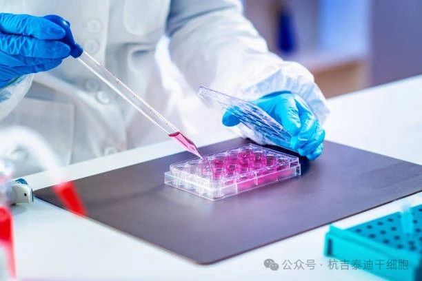 新綜述！探索干細胞治療的潛力：應用、類(lèi)型和未來(lái)方向（萬(wàn)字長(cháng)文）