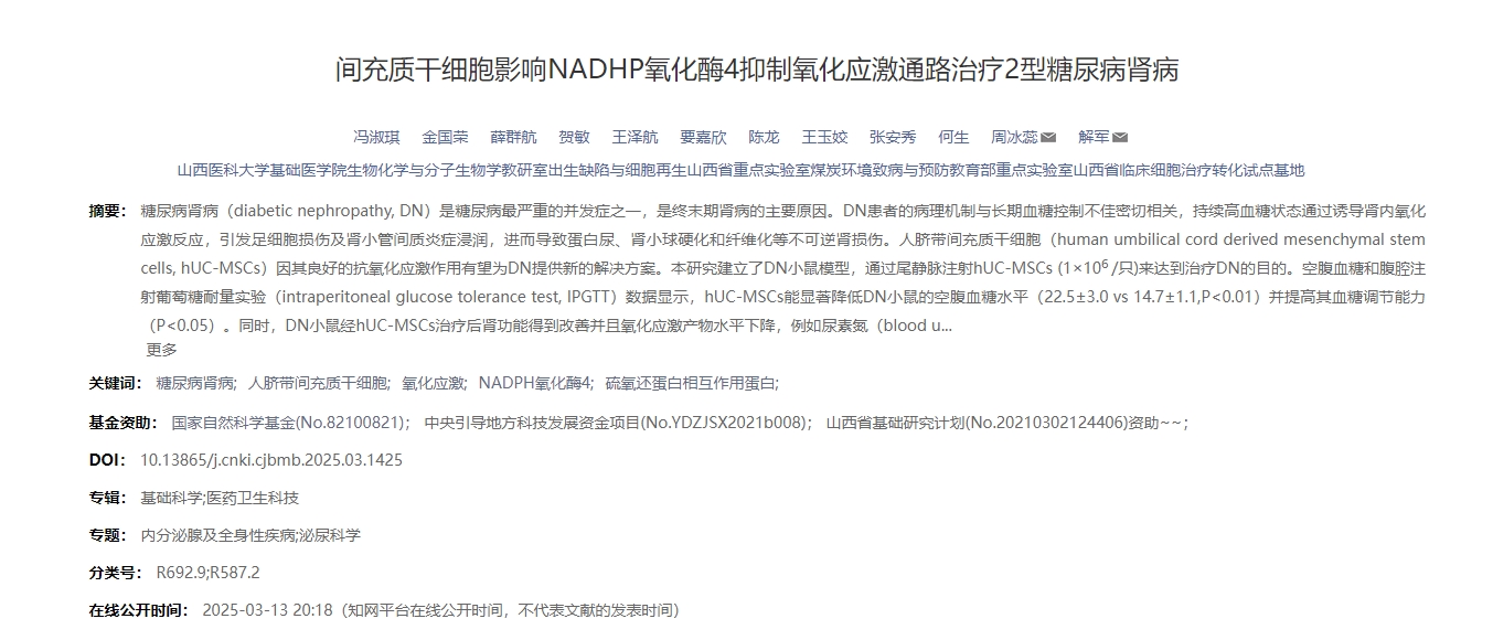 間充質(zhì)干細胞影響NADHP氧化酶4抑制氧化應激通路治療2型糖尿病腎病 間充質(zhì)干細胞影響NADHP氧化酶4抑制氧化應激通路治療2型糖尿病腎病