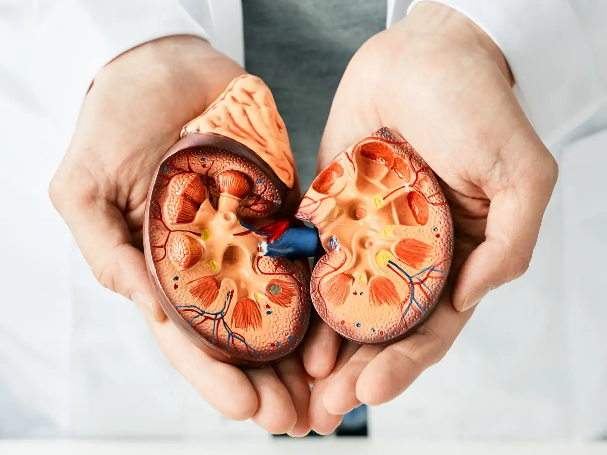 2025急性腎損傷前沿治療指南：7種最新治療方法你都清楚嗎？